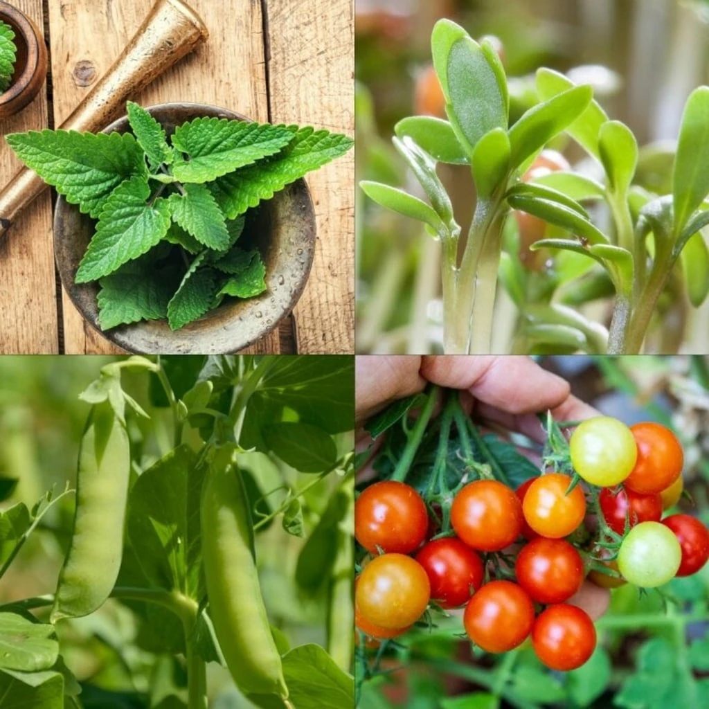 Garten-Helden 10er Set – Bild 6