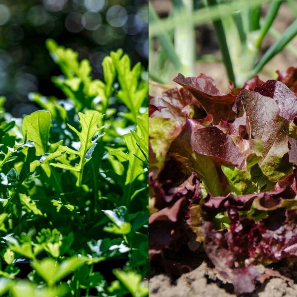 Garten-Helden 10er Set – Bild 5