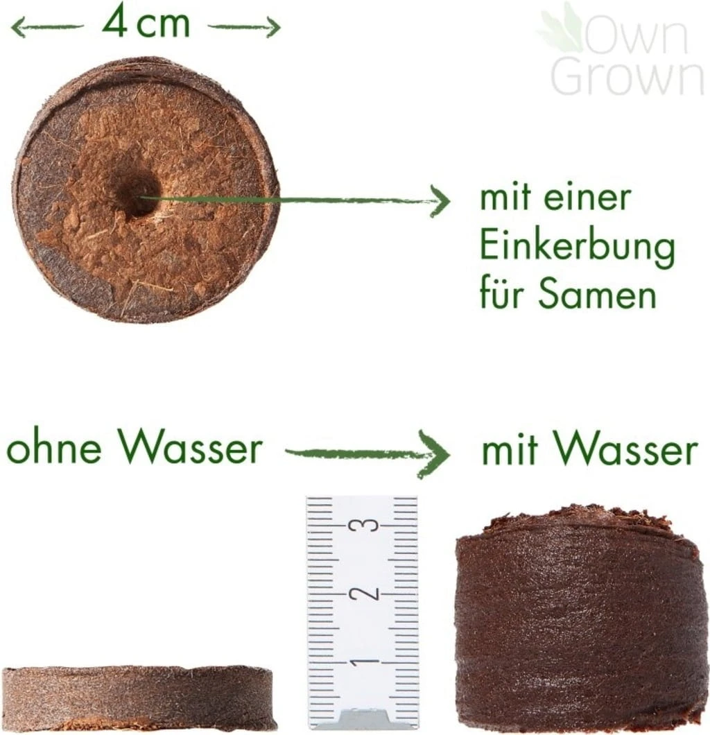Kokos Quelltabletten, 36 Stück – Bild 2