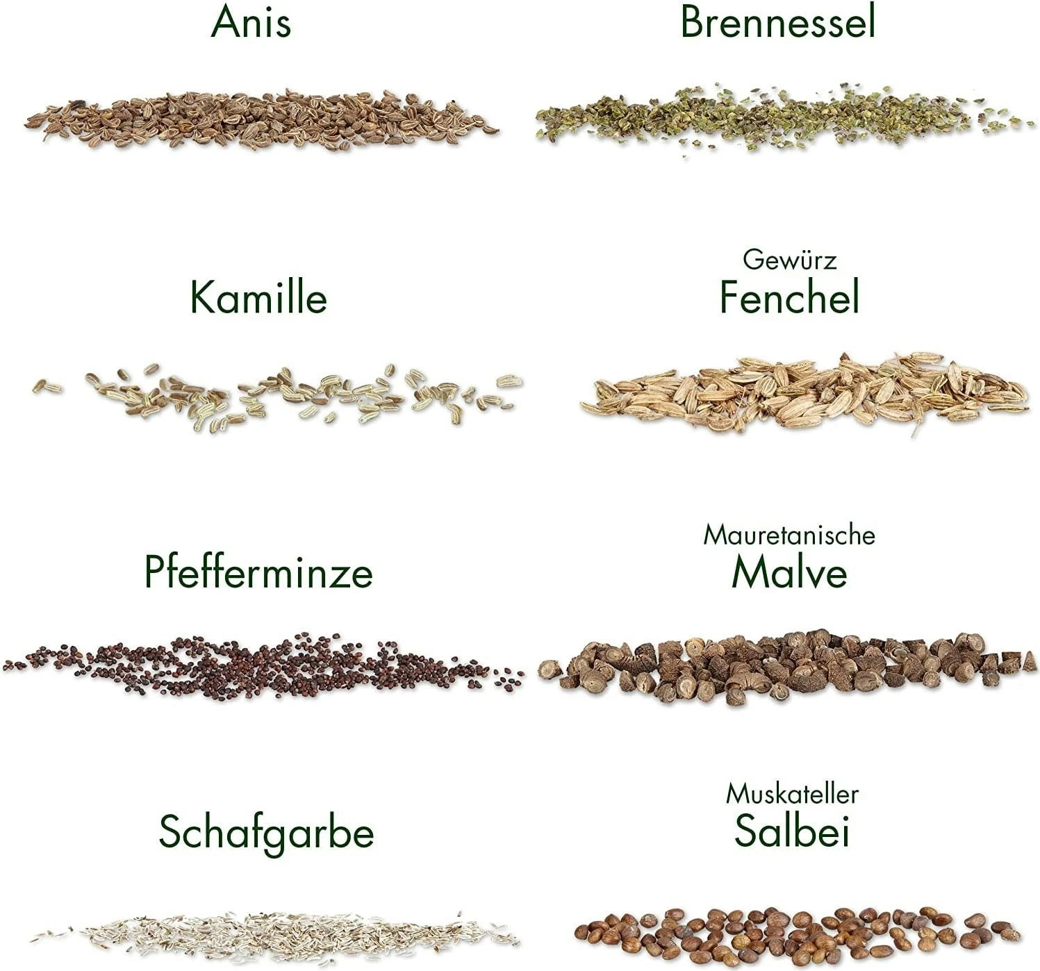 Teekräuter-Samen 8er Set – Bild 7