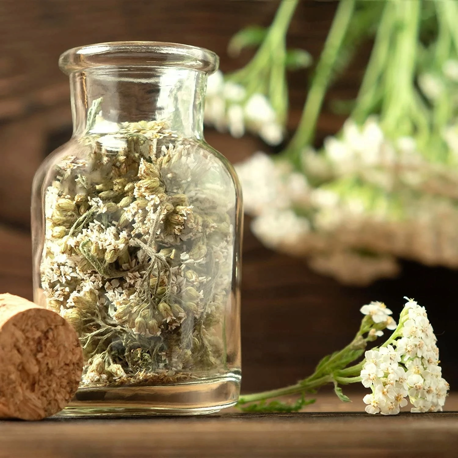 Teekräuter-Samen 8er Set – Bild 5