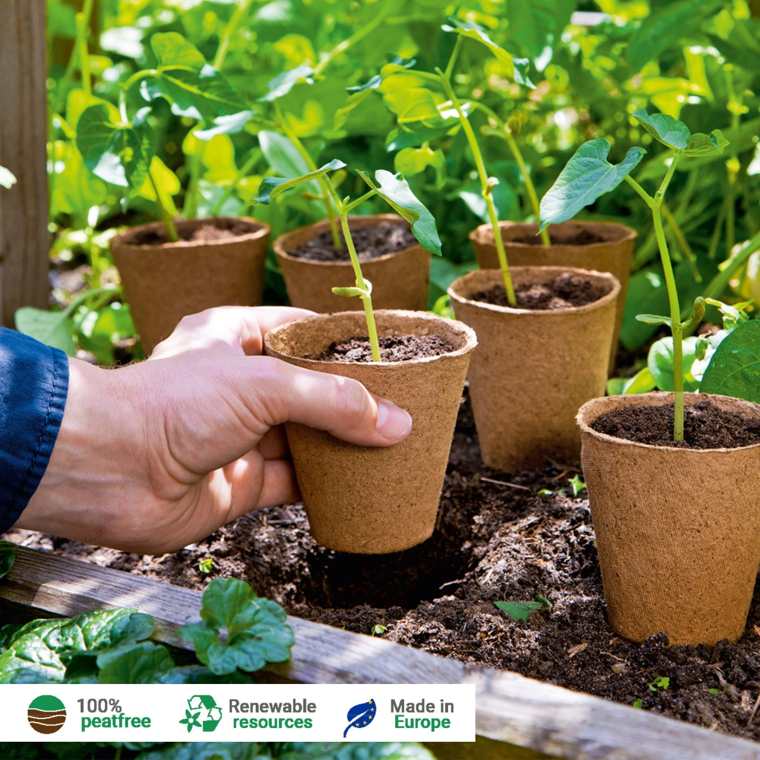 26 Anzuchttöpfe 6 Cm Rund – Bild 4