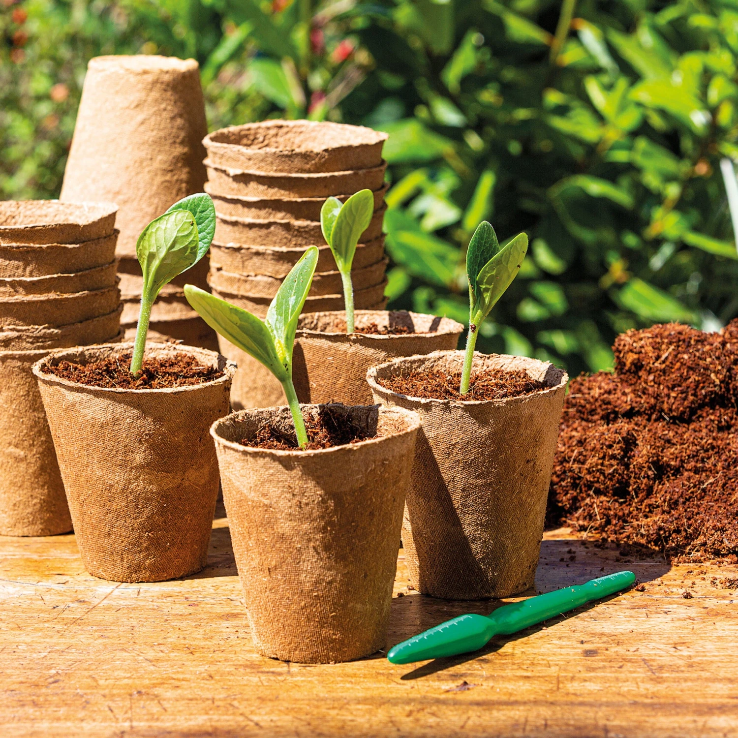 48 Anzuchttöpfe 8 Cm Rund, 48 Stück – Bild 2