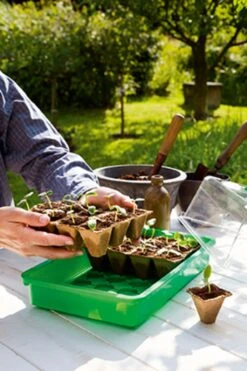 Anzuchthaus M PLUS POTS Inkl. 24 Anzuchttöpfe Im Strip