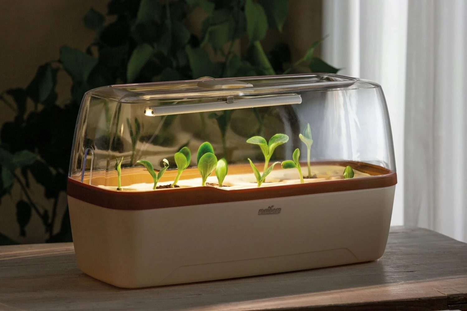 Gewächshaus & Pflanzkasten BoQube L PLUS LED - Creme-Kupferbraun – Bild 3