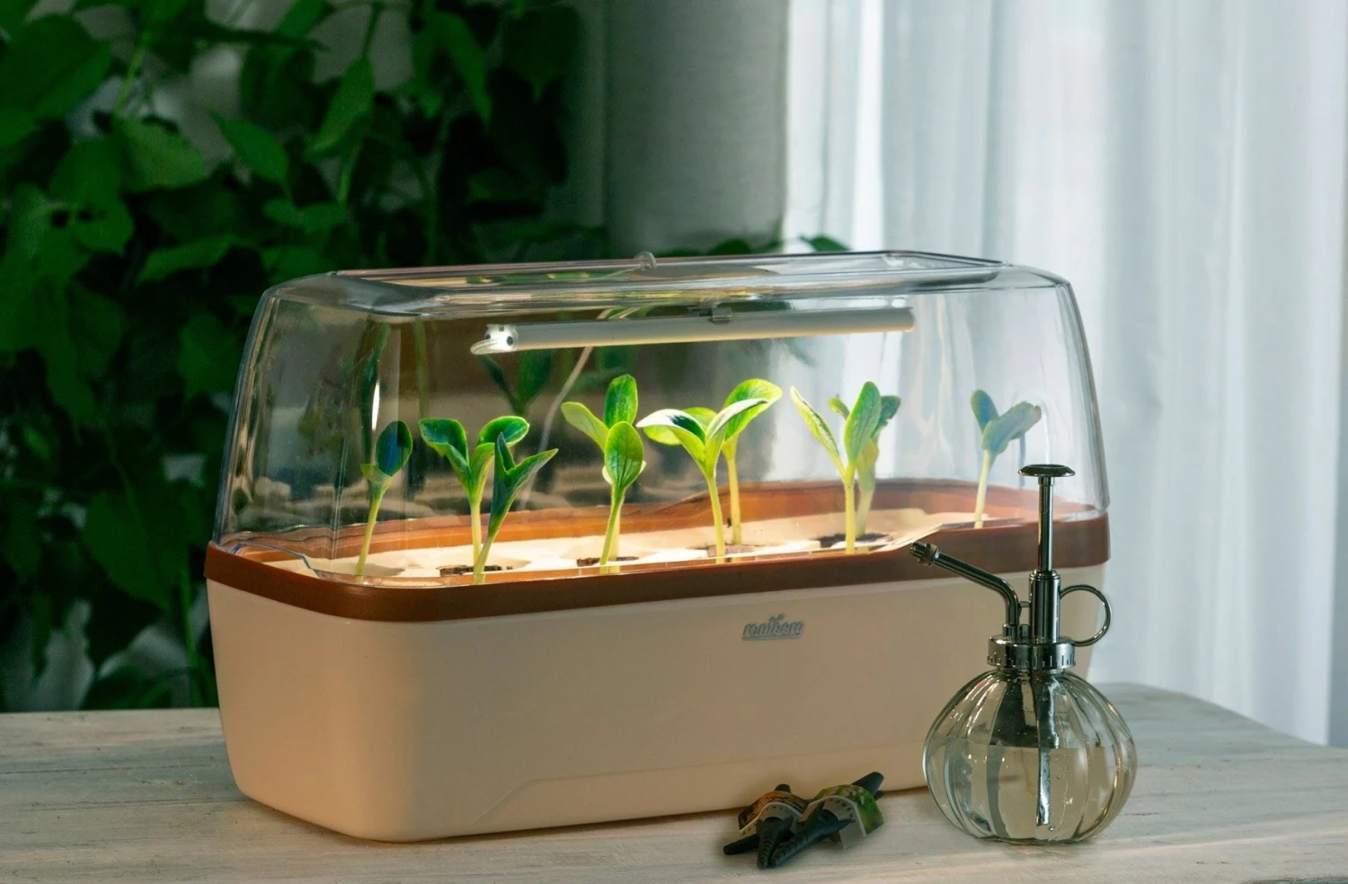 Gewächshaus & Pflanzkasten BoQube L PLUS LED - Creme-Kupferbraun – Bild 4