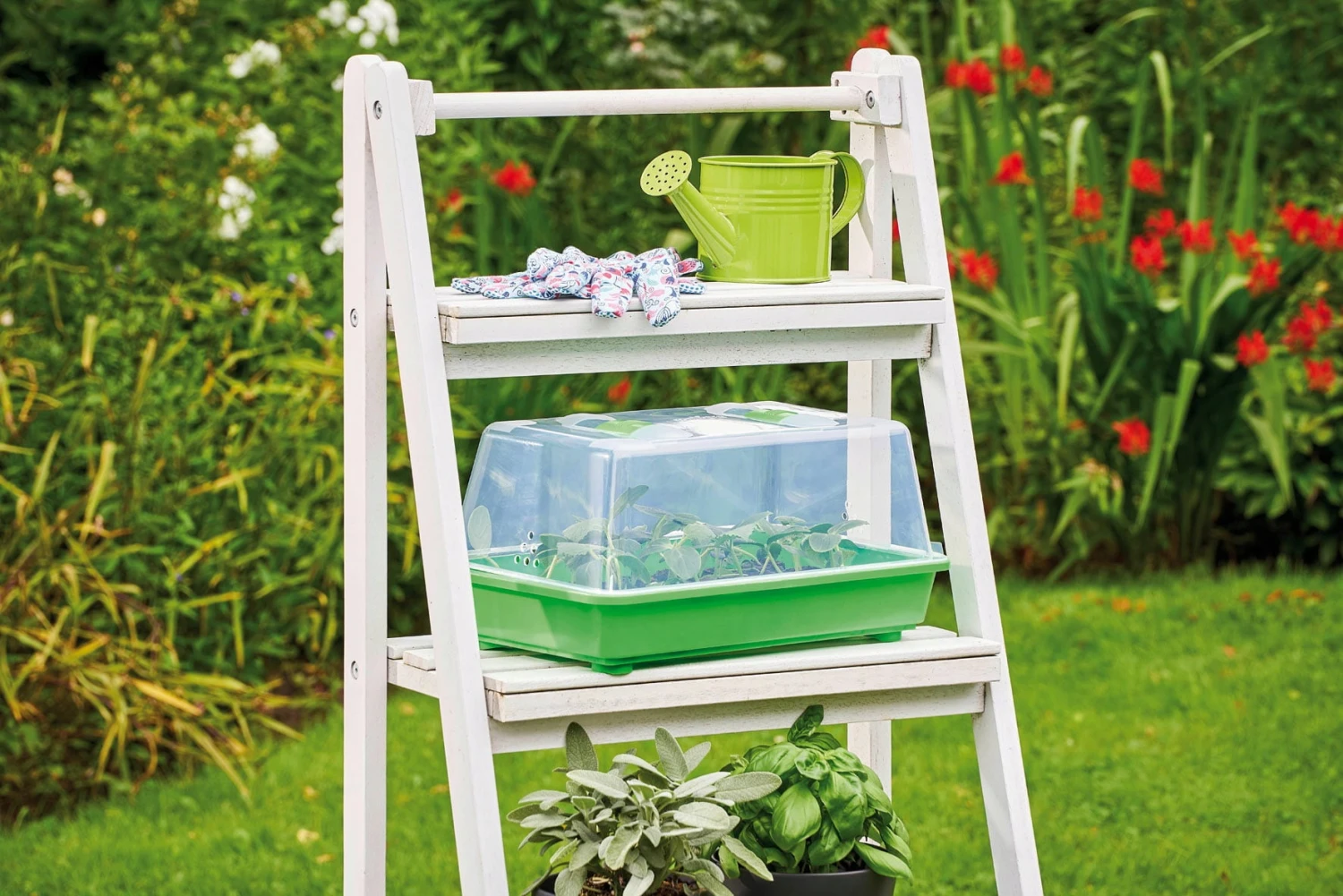 Classic Gewächshaus M – Bild 5