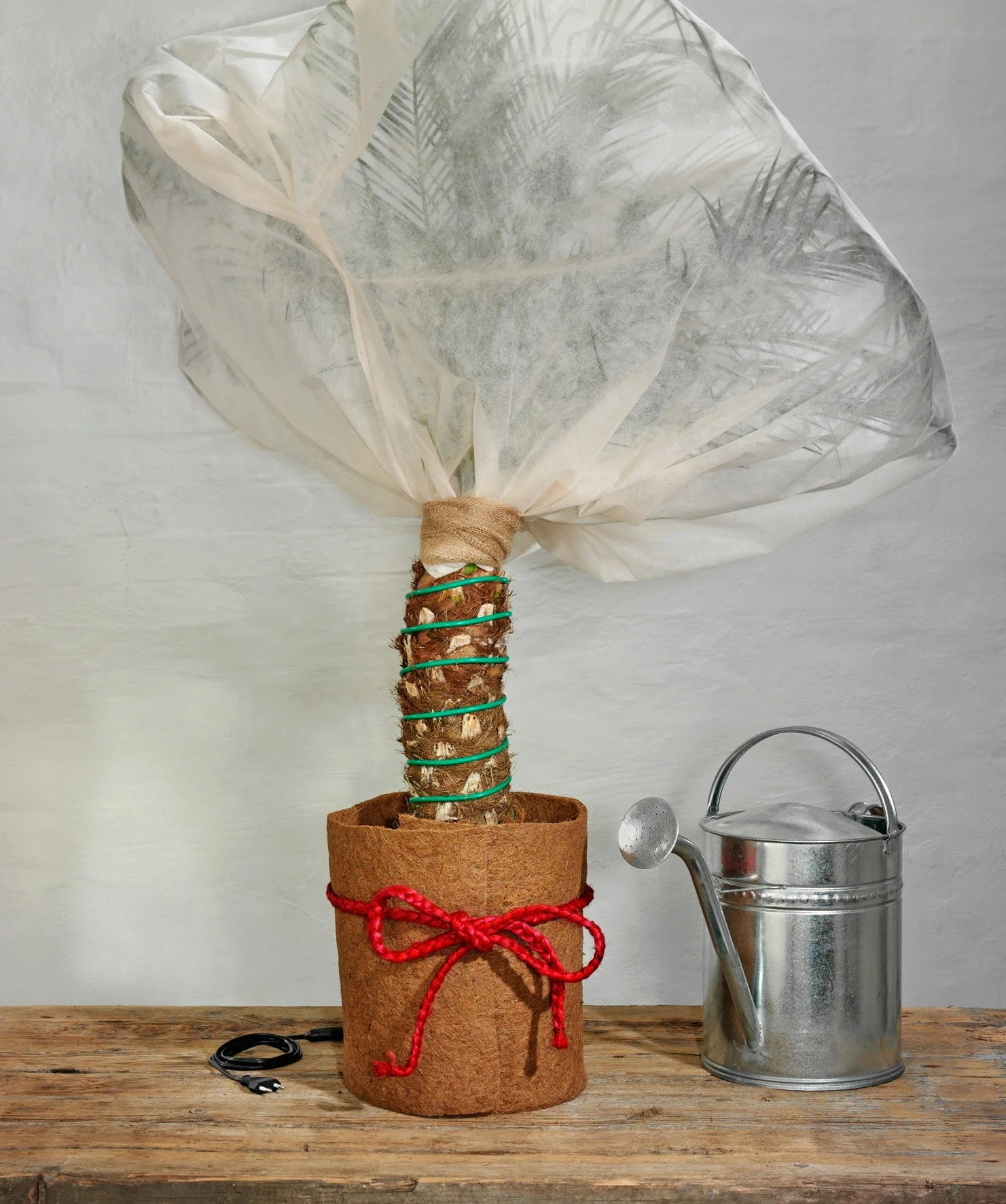 Classic Pflanzenheizung, 10 M (8 M Heizbar) 40 Watt