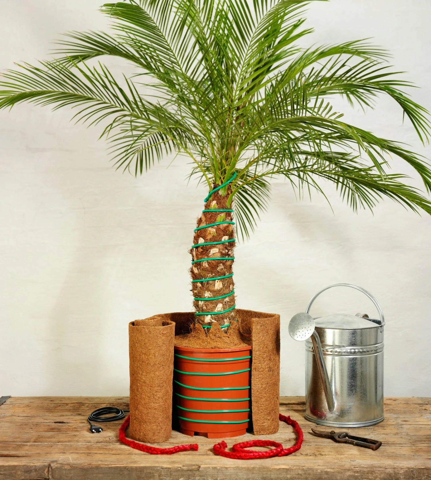 Classic Pflanzenheizung, 10 M (8 M Heizbar) 40 Watt – Bild 3