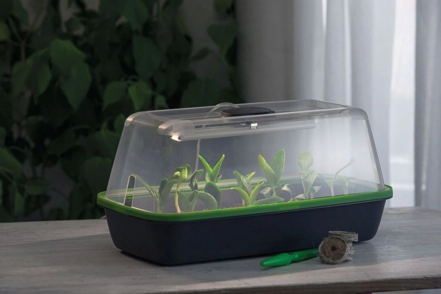 LED Pflanzenbeleuchtung – Bild 4