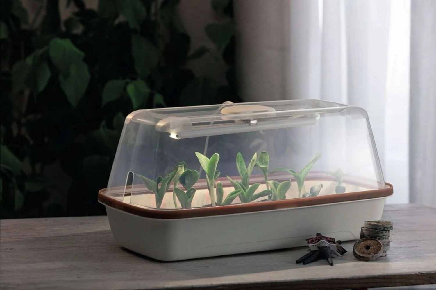 LED Pflanzenbeleuchtung – Bild 6