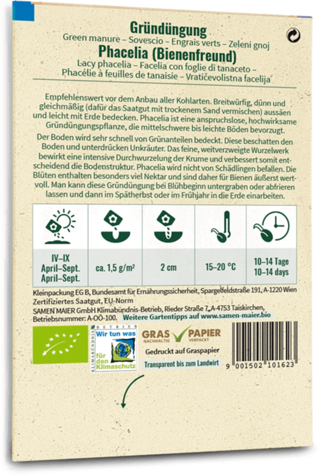 Bio Phacelia "Bienenfreund" – Bild 2