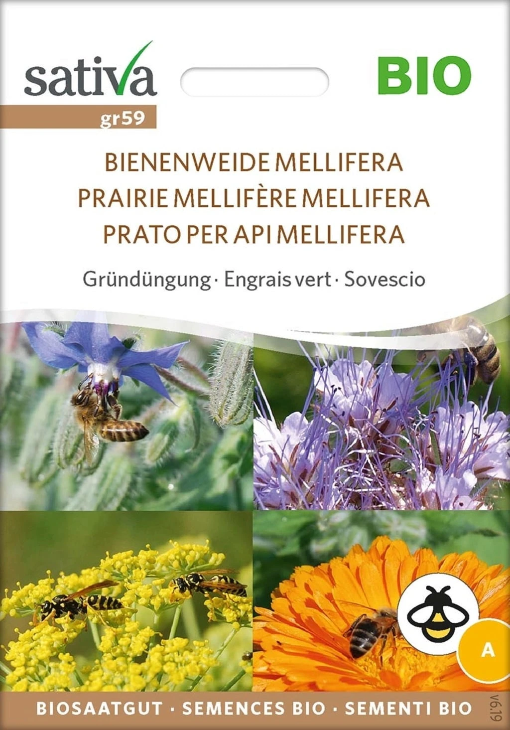 Bio Gründüngung "Bienenweide Mellifera" – Bild 3
