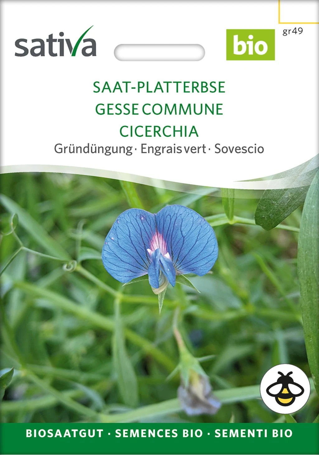 Bio Gründüngung "Saat-Platterbse" – Bild 2