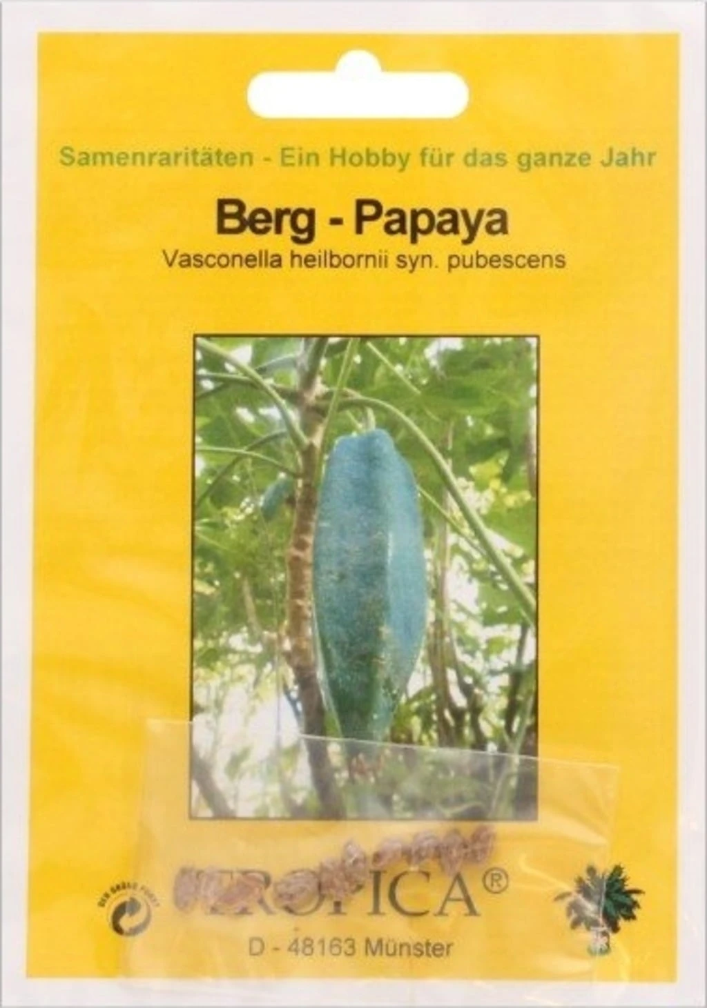 Berg-Papaya, 10 Korn – Bild 3