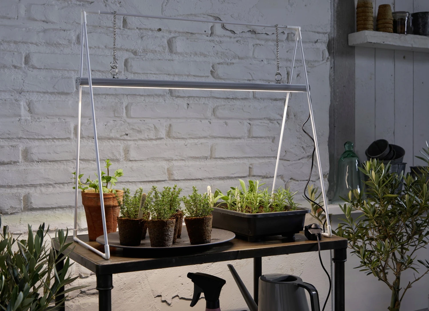 GrowLight Duo Mit Stativ – Bild 3