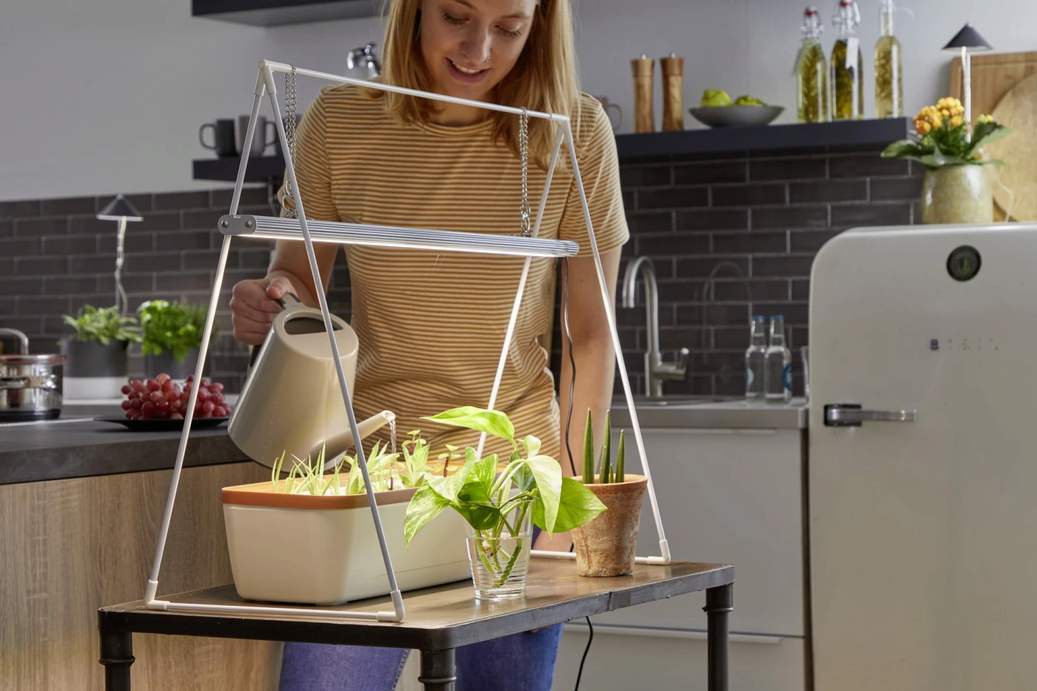 GrowLight Duo Mit Stativ – Bild 4