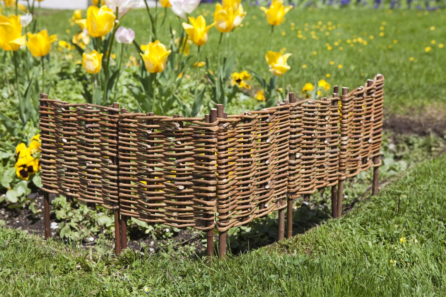 Windhager Beeteinfassung Weide 5-teilig