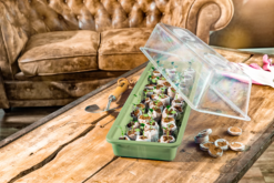 Windhager Saat-Schale 58x19x6cm, Schiefergrau