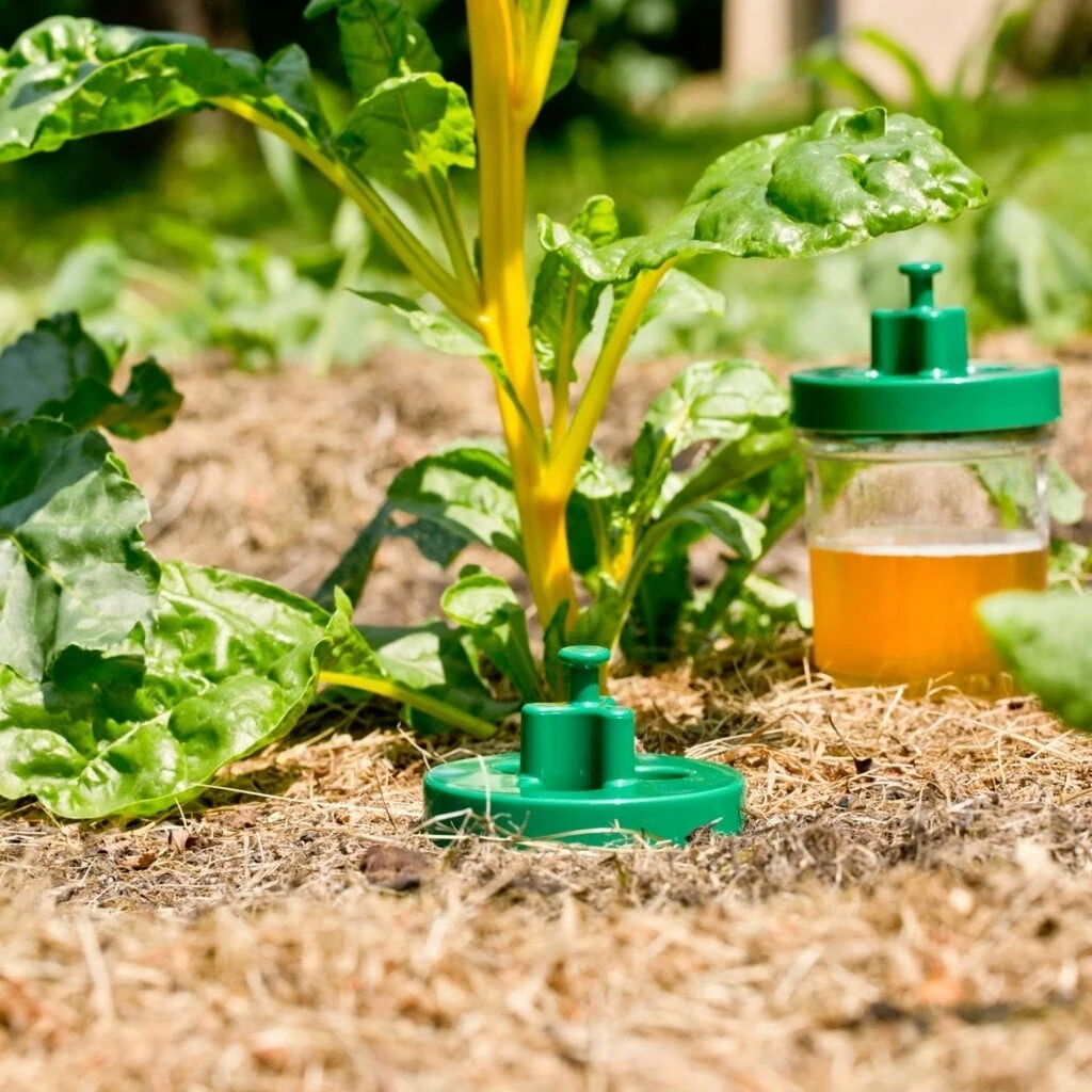 Windhager Schneckenfallen Duo, 2 Stück – Bild 3