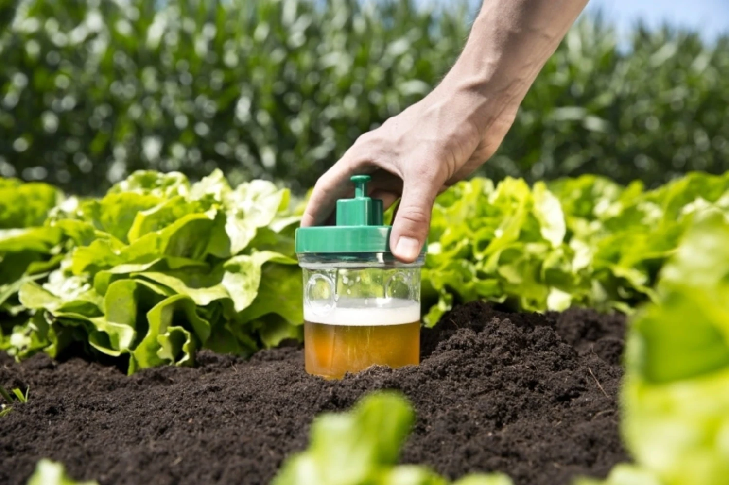 Windhager Schneckenfallen Duo, 2 Stück – Bild 2