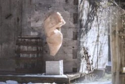 Windhager Winter-Vlies Aktion 2+1 GRATIS - 5x1,5m