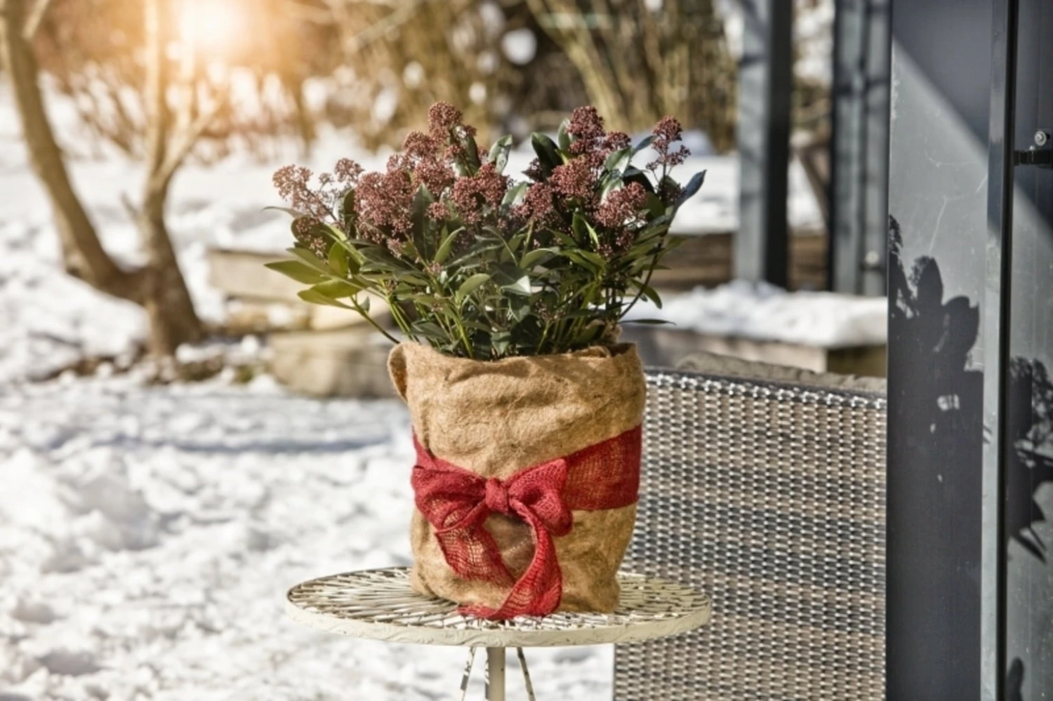 Windhager Winterschutz-Vliesmatte – Bild 2