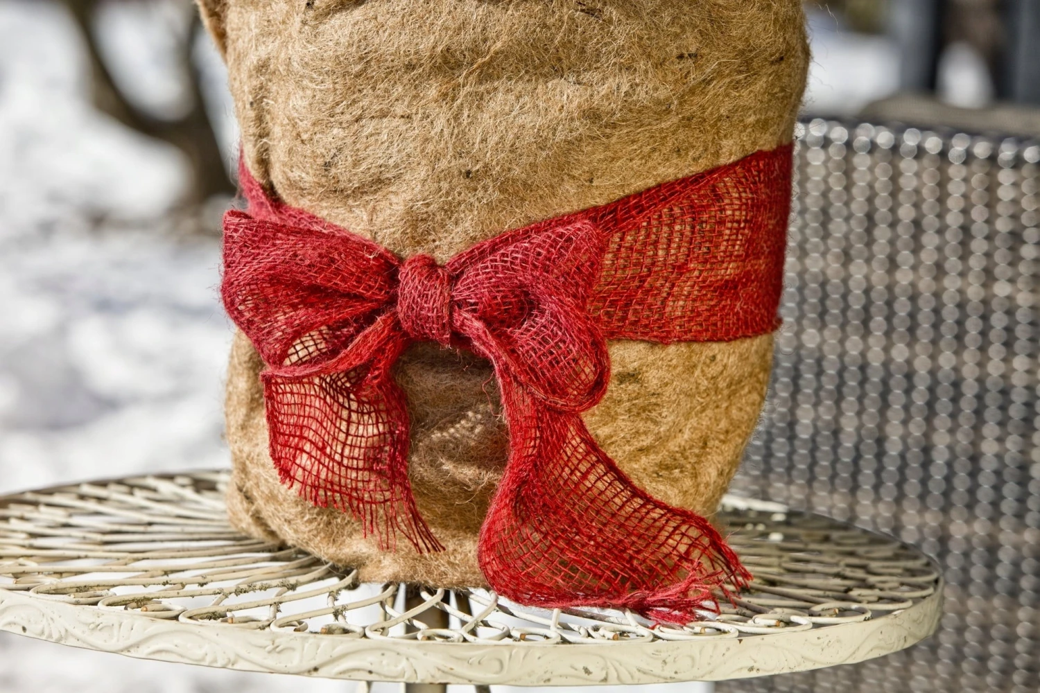 Windhager Winterschutz-Vliesmatte – Bild 4