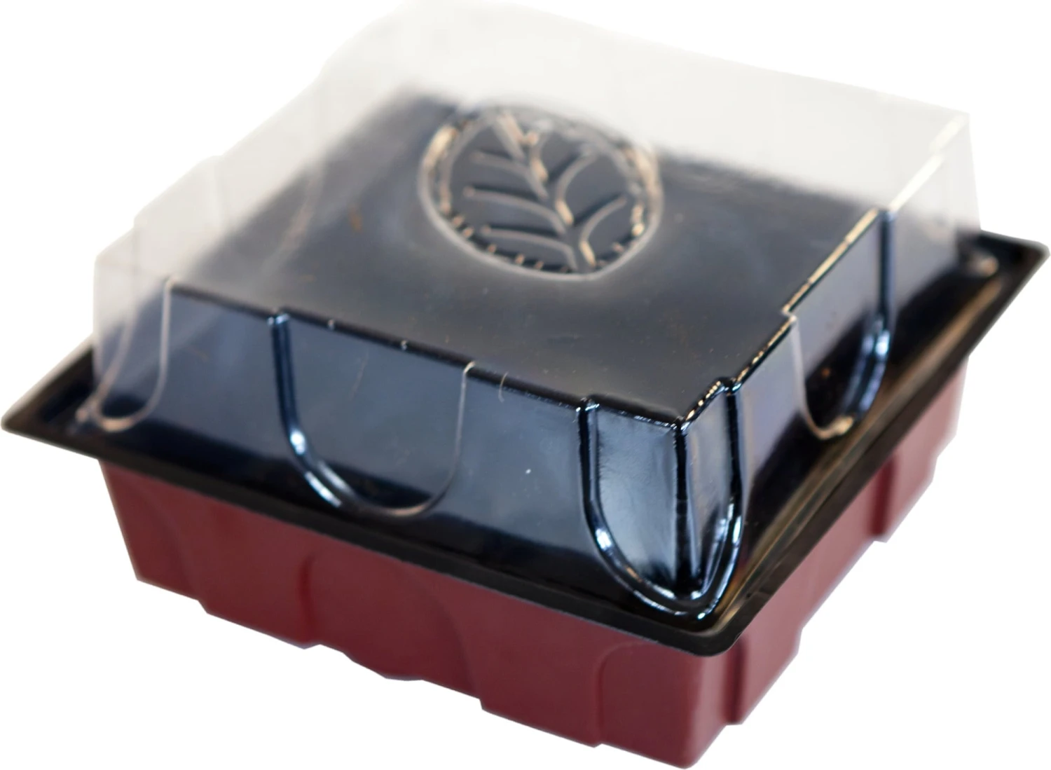 Windhager Zimmertreibhaus Inkl. 12 Quelltabs – Bild 4