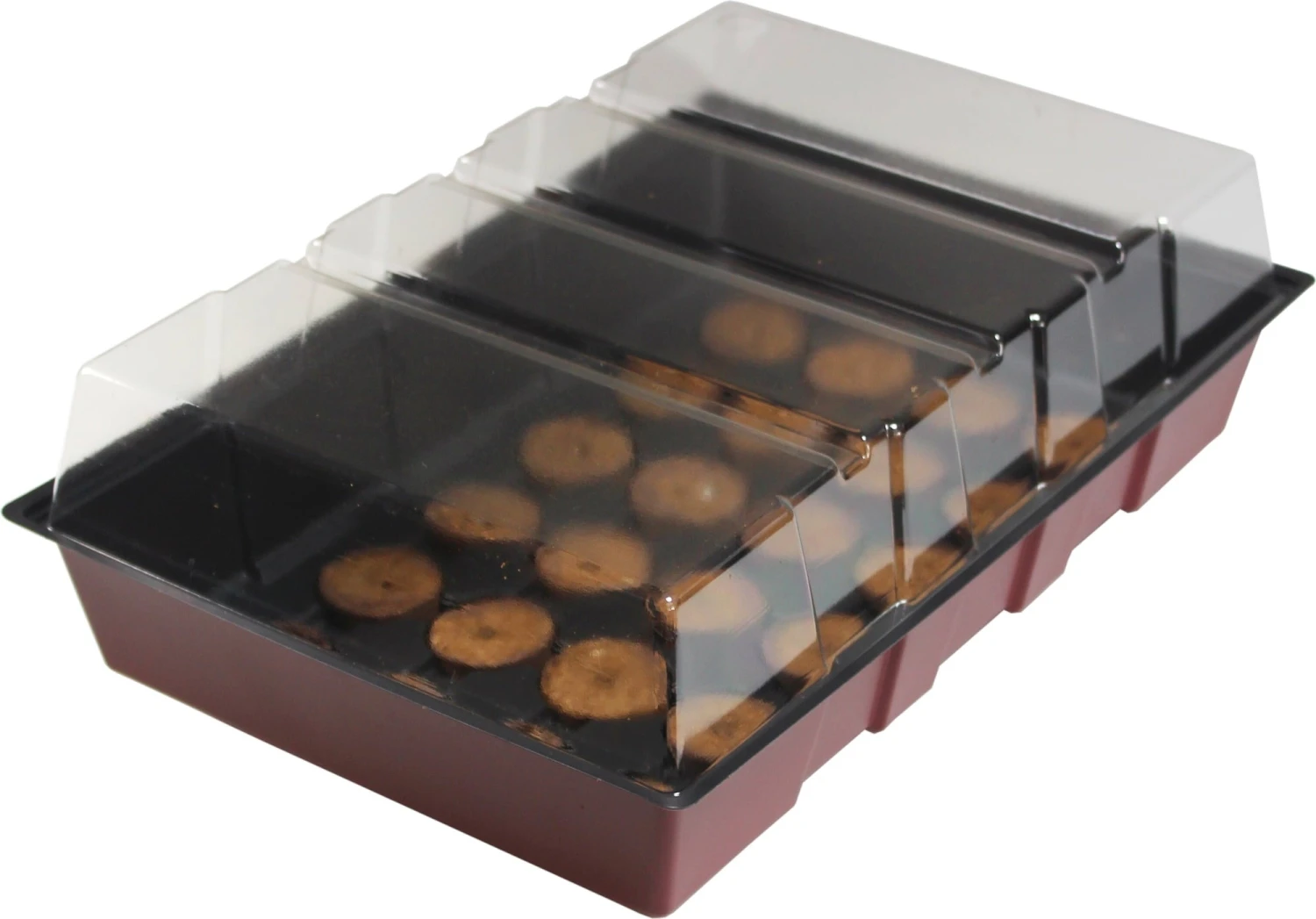 Windhager Zimmertreibhaus Inkl. 24 Quelltabs