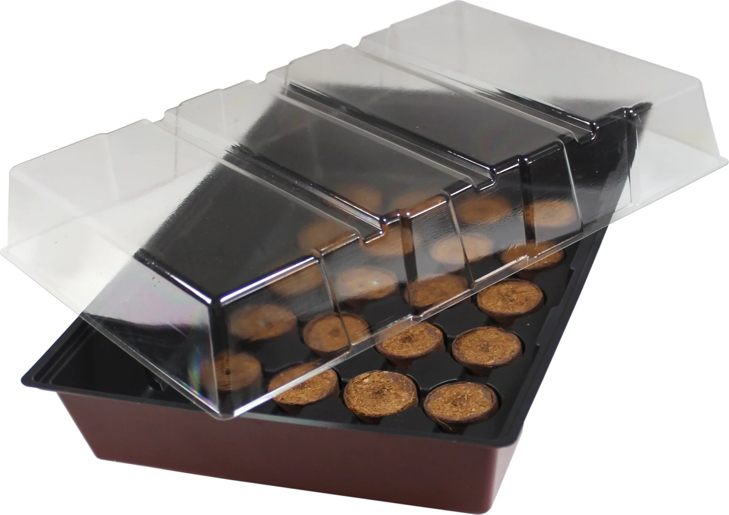 Windhager Zimmertreibhaus Inkl. 24 Quelltabs – Bild 3