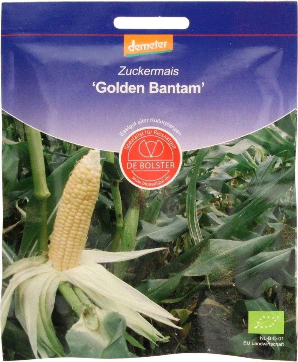 Zuckermais "Golden Bantam", 15 G – Bild 3